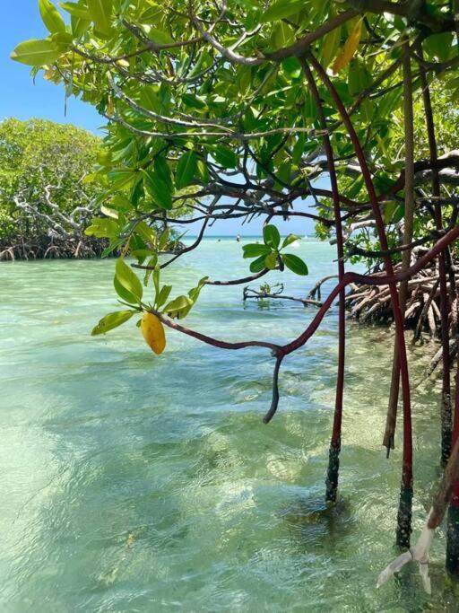 Les Pieds Dans L'Eau Chez Syl Apartamento Le Moule Exterior foto