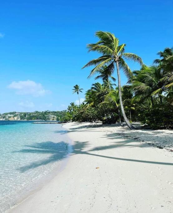 Les Pieds Dans L'Eau Chez Syl Apartamento Le Moule Exterior foto