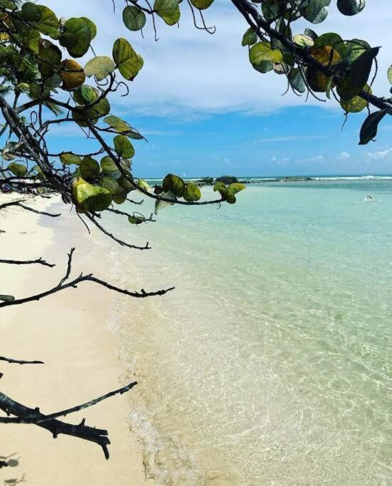 Les Pieds Dans L'Eau Chez Syl Apartamento Le Moule Exterior foto